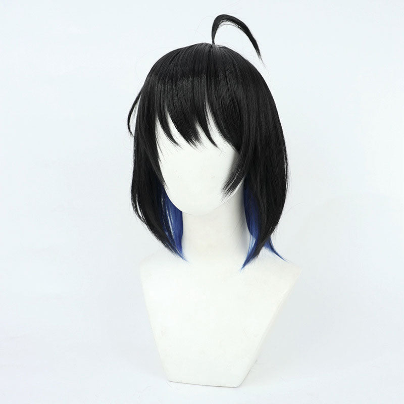 Honkai Impact 3rd Seele Vollerei Cosplay Wigs