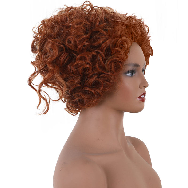 Hocus Pocus 2 Winifred Sanderson Cosplay Wigs