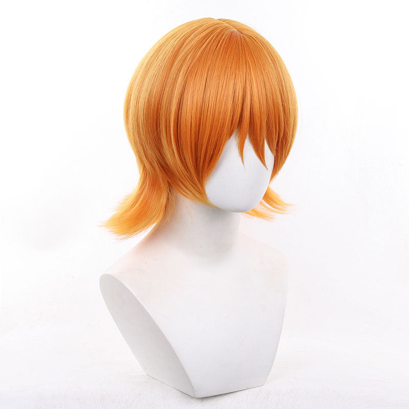 Anime One Piece Nami Short Cosplay Wigs