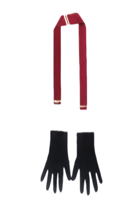 Sword Art Online Salamander Klein Cosplay Costume