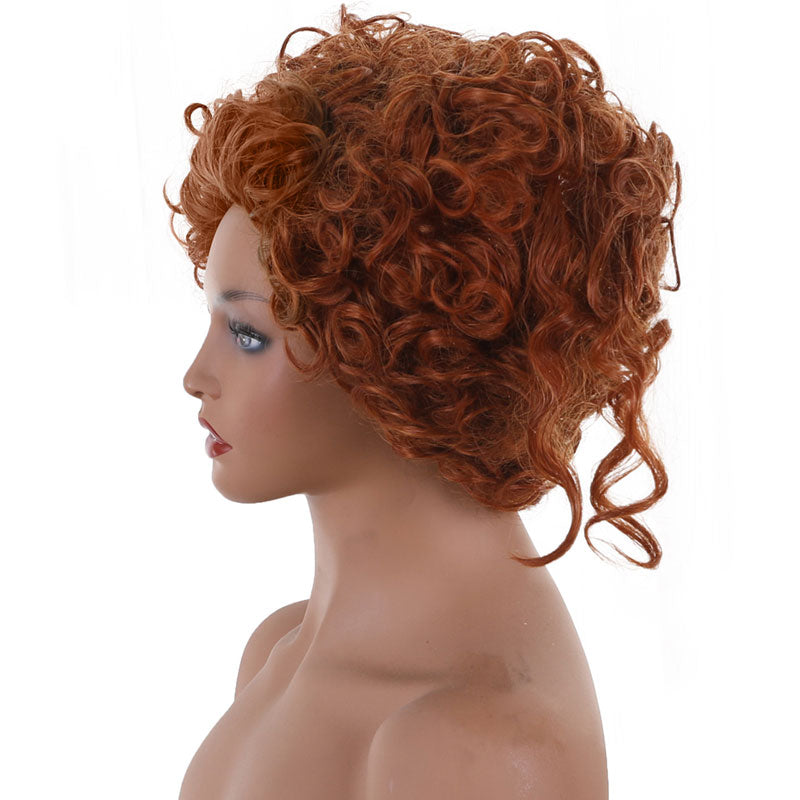 Hocus Pocus 2 Winifred Sanderson Cosplay Wigs