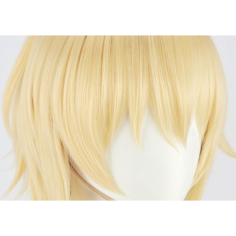 Honkai Impact 3rd Otto Apocalypse Cosplay Wigs