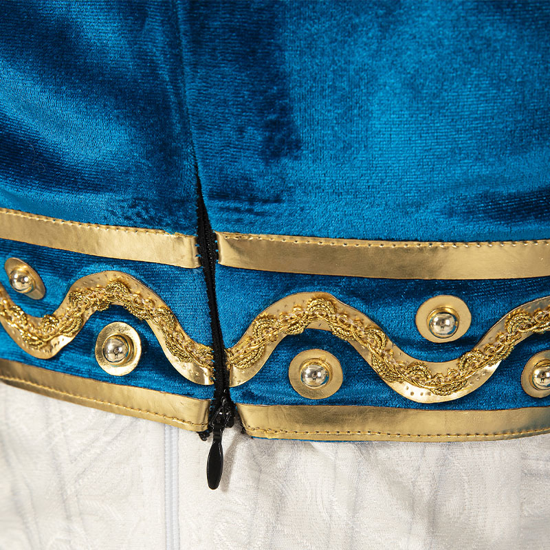 The Legend of Zelda The Champions' Ballad Zelda Princess Cosplay Costumes