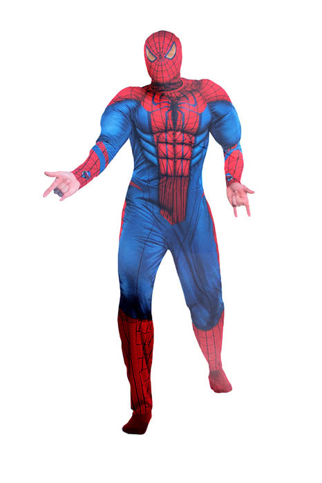 Spiderman Suit Fancy Dress Superhero Mens Adult Costume