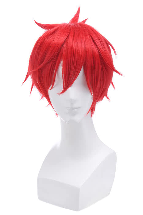 ZERO -Starting Life in Another World Reinhard van Astrea Anime Cosplay Wigs