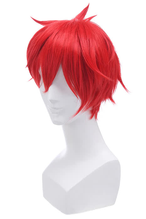 ZERO -Starting Life in Another World Reinhard van Astrea Anime Cosplay Wigs
