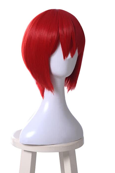 Mah¨ Tsukai no Yome Chise Hatori Cosplay Red Wigs