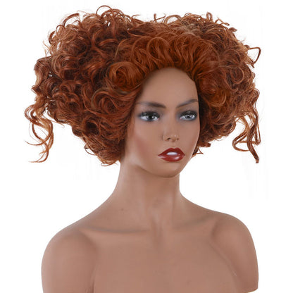 Hocus Pocus 2 Winifred Sanderson Cosplay Wigs