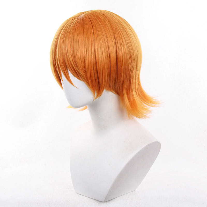 Anime One Piece Nami Short Cosplay Wigs