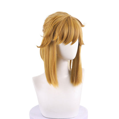 The Legend of Zelda: Breath of the Wild Link Cosplay Wig