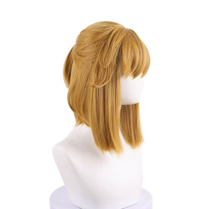 The Legend of Zelda: Breath of the Wild Link Cosplay Wig