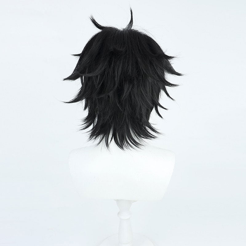 Honkai: Star Rail Dan Heng Cosplay Wigs