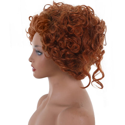Hocus Pocus 2 Winifred Sanderson Cosplay Wigs