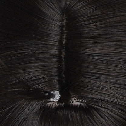 Honkai: Star Rail Dan Heng Imbibitor Lunae Cosplay Wigs