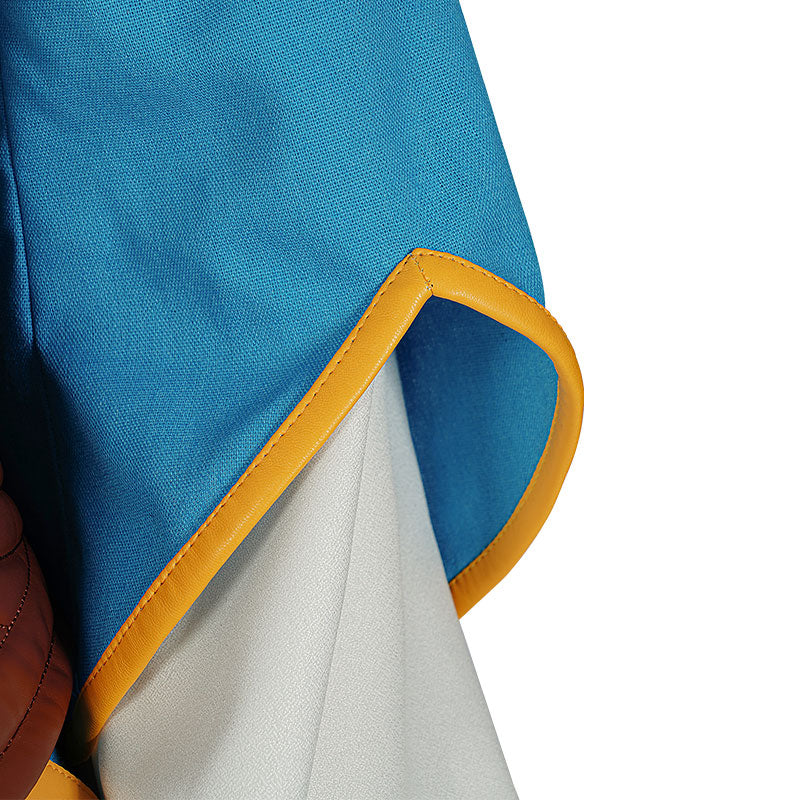 The Legend of Zelda: Tears of the Kingdom Princess Zelda Cosplay Costumes