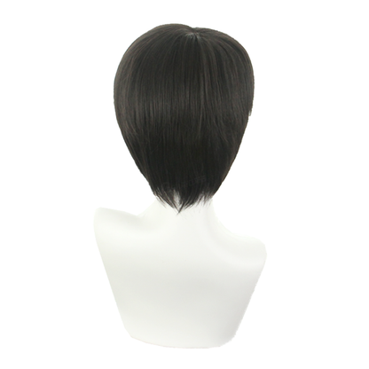 Attack on Titan Levi Ackerman Black Cosplay Wigs