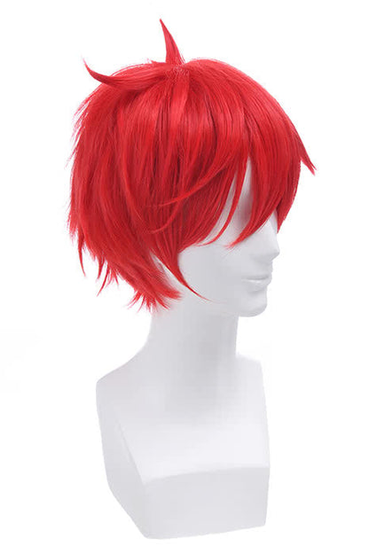 ZERO -Starting Life in Another World Reinhard van Astrea  Anime Cosplay Wigs