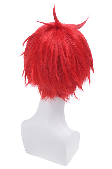 ZERO -Starting Life in Another World Reinhard van Astrea  Anime Cosplay Wigs