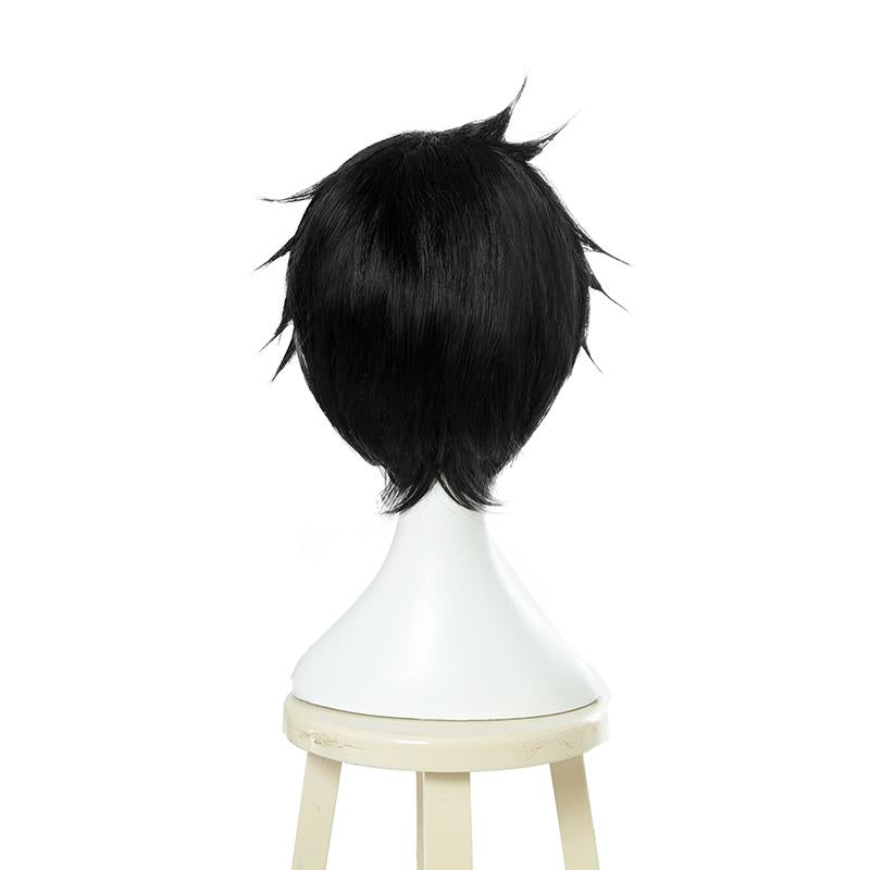 The Rising of the Shield Hero Naofumi Iwatani 28cm Short  Black Aoharu x Kikanjuu Tooru Yukimura Cosplay Wig