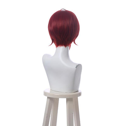 Twisted Wonderland Riddle Rosehearts Short Brownish Red Cosplay Wigs