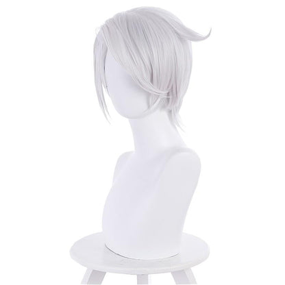 Vanitas no Carte Noe Cosplay Wig