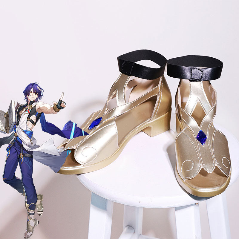 Honkai:Star Rail Dr.Ratio Cosplay Shoes