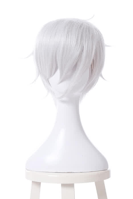 Land of the Lustrous Houseki no Kuni Antarcticite Silver White Cosplay Wigs